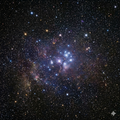 STARLIGHT DRIFTER