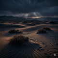 DESERT